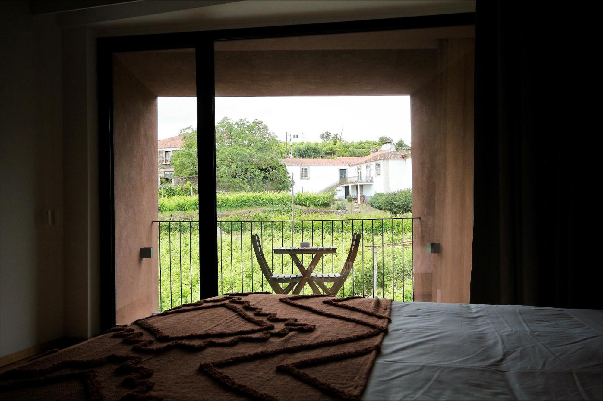 Casa Do Santo - Wine & Tourism Villa Provesende Eksteriør billede
