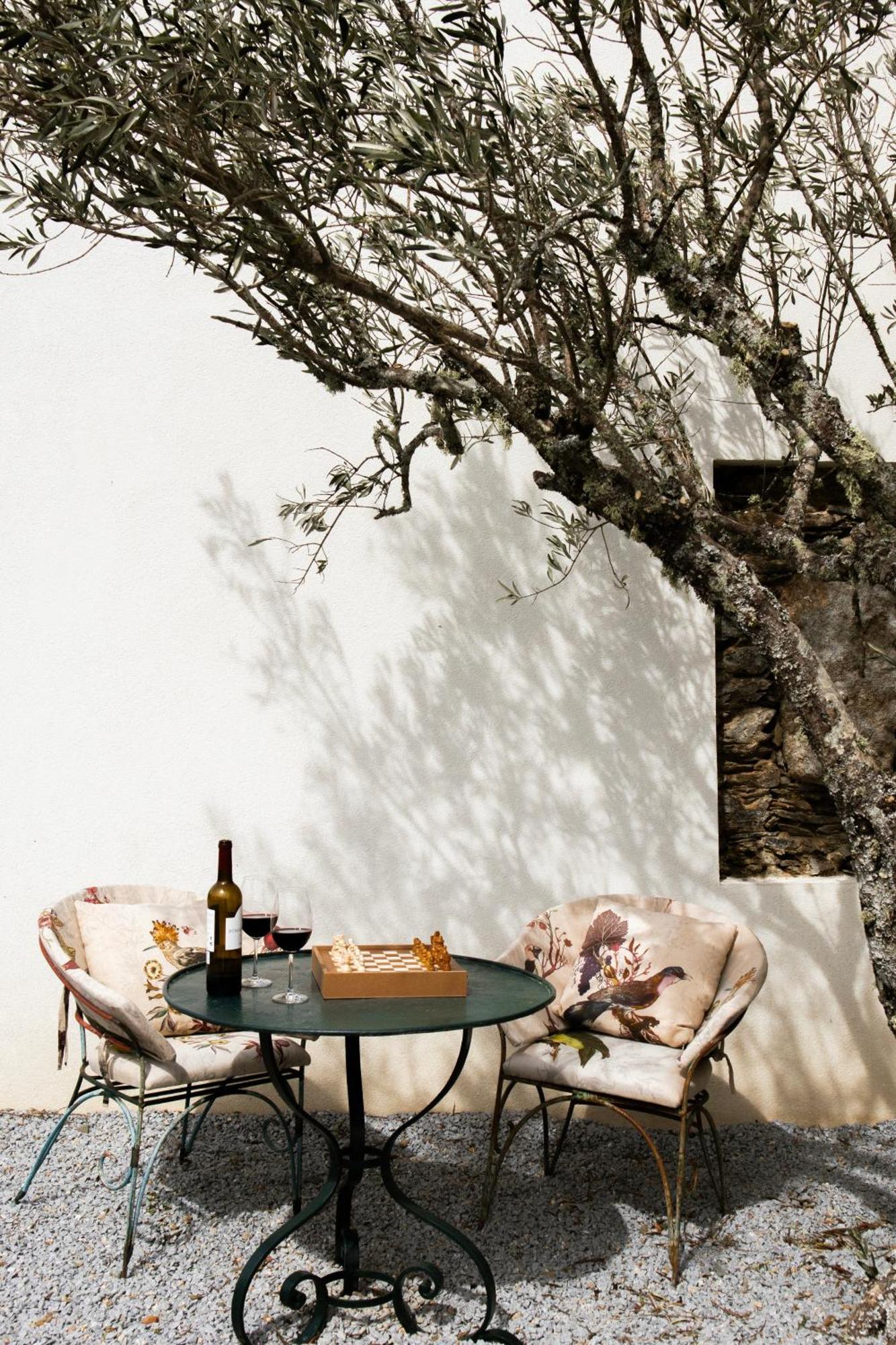 Casa Do Santo - Wine & Tourism Villa Provesende Eksteriør billede