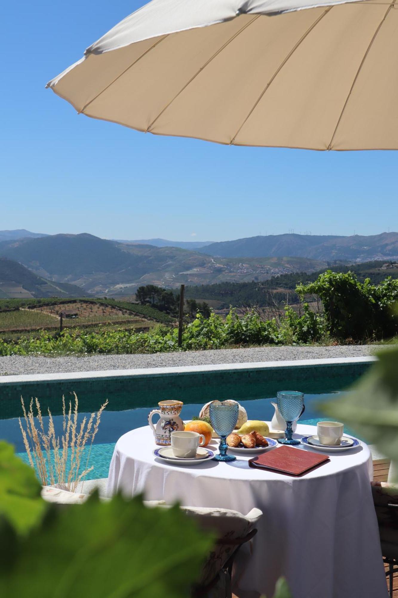 Casa Do Santo - Wine & Tourism Villa Provesende Eksteriør billede