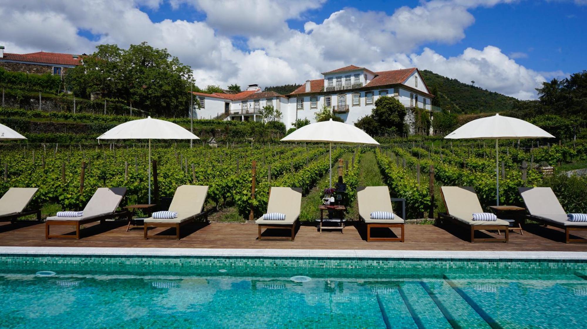 Casa Do Santo - Wine & Tourism Villa Provesende Eksteriør billede