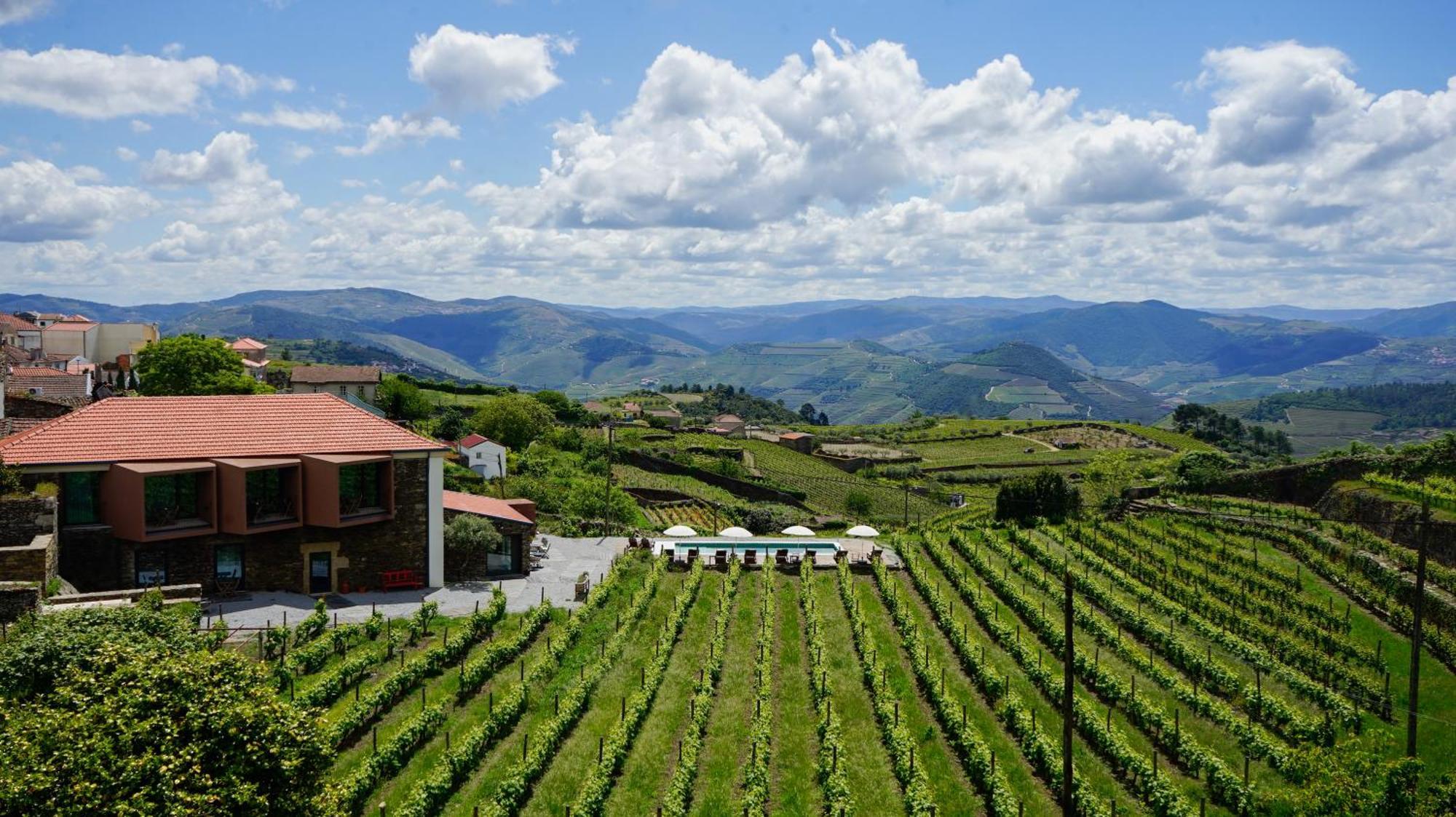 Casa Do Santo - Wine & Tourism Villa Provesende Eksteriør billede